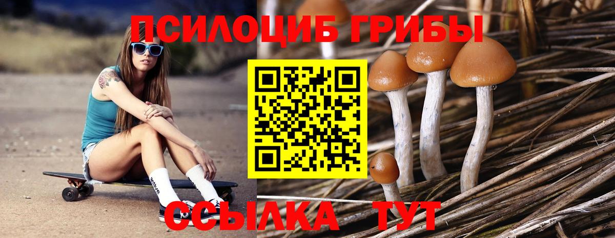 Галлюциногенные грибы прущие грибы  Вход с VPN  Буйнакск 